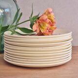 Set of 4 plates dessert salins model anemone