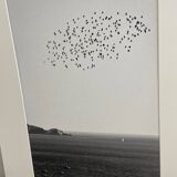 The flight