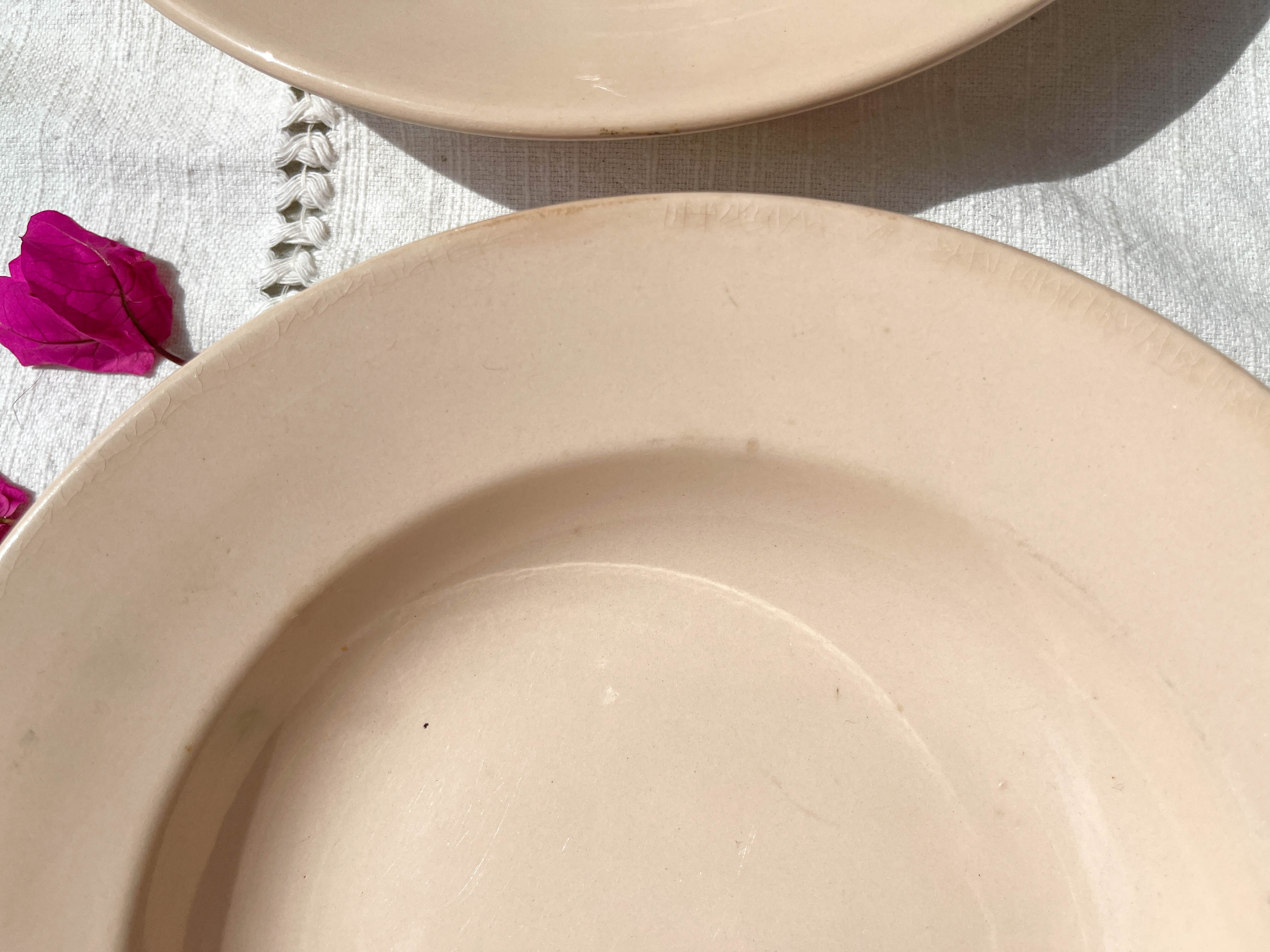 6 assiettes creuses rose digoin sarreguemines
