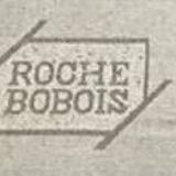 Roche Bobois leather sofa Blogger model