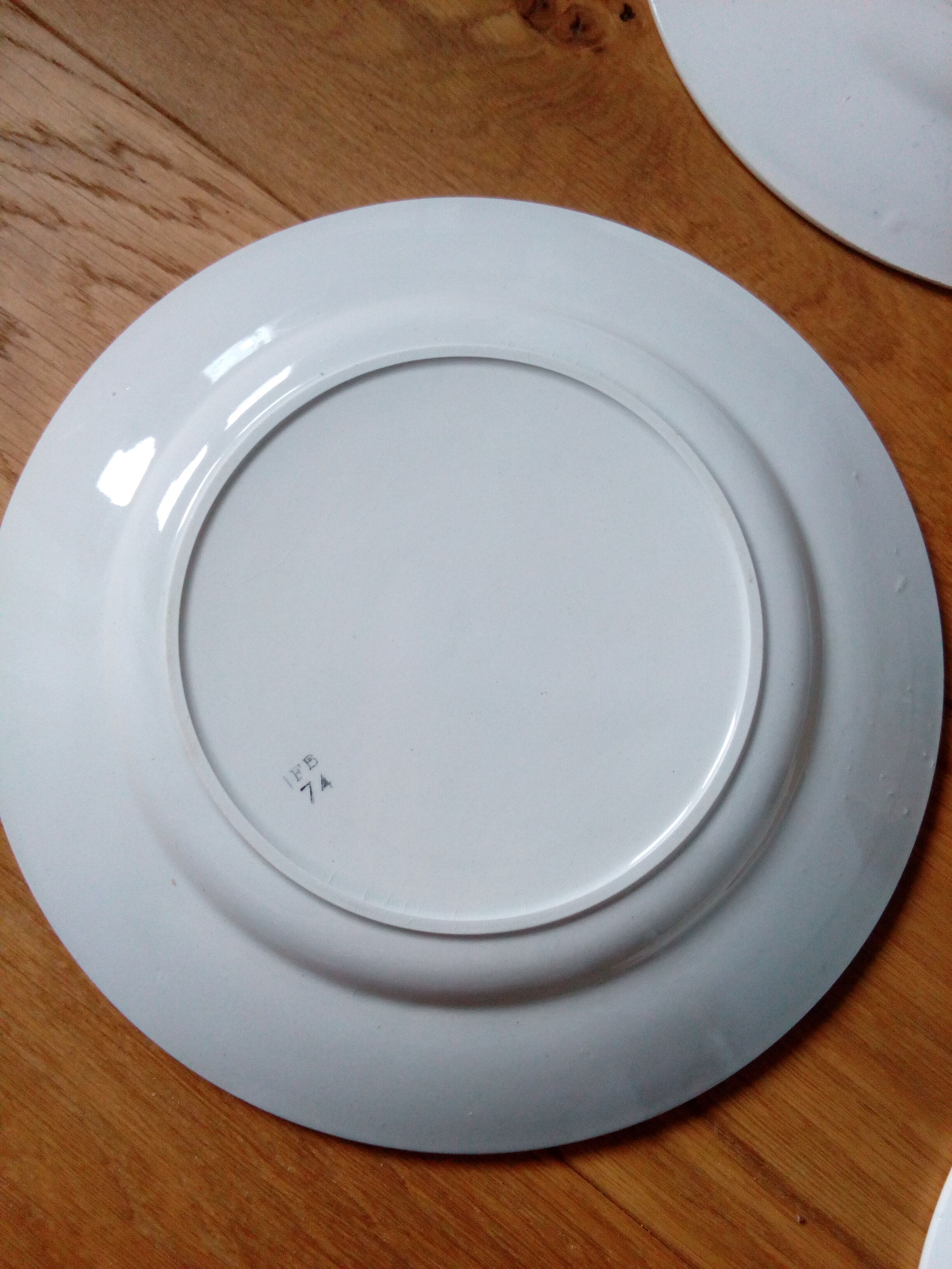 Mismatched flat plates set of 6