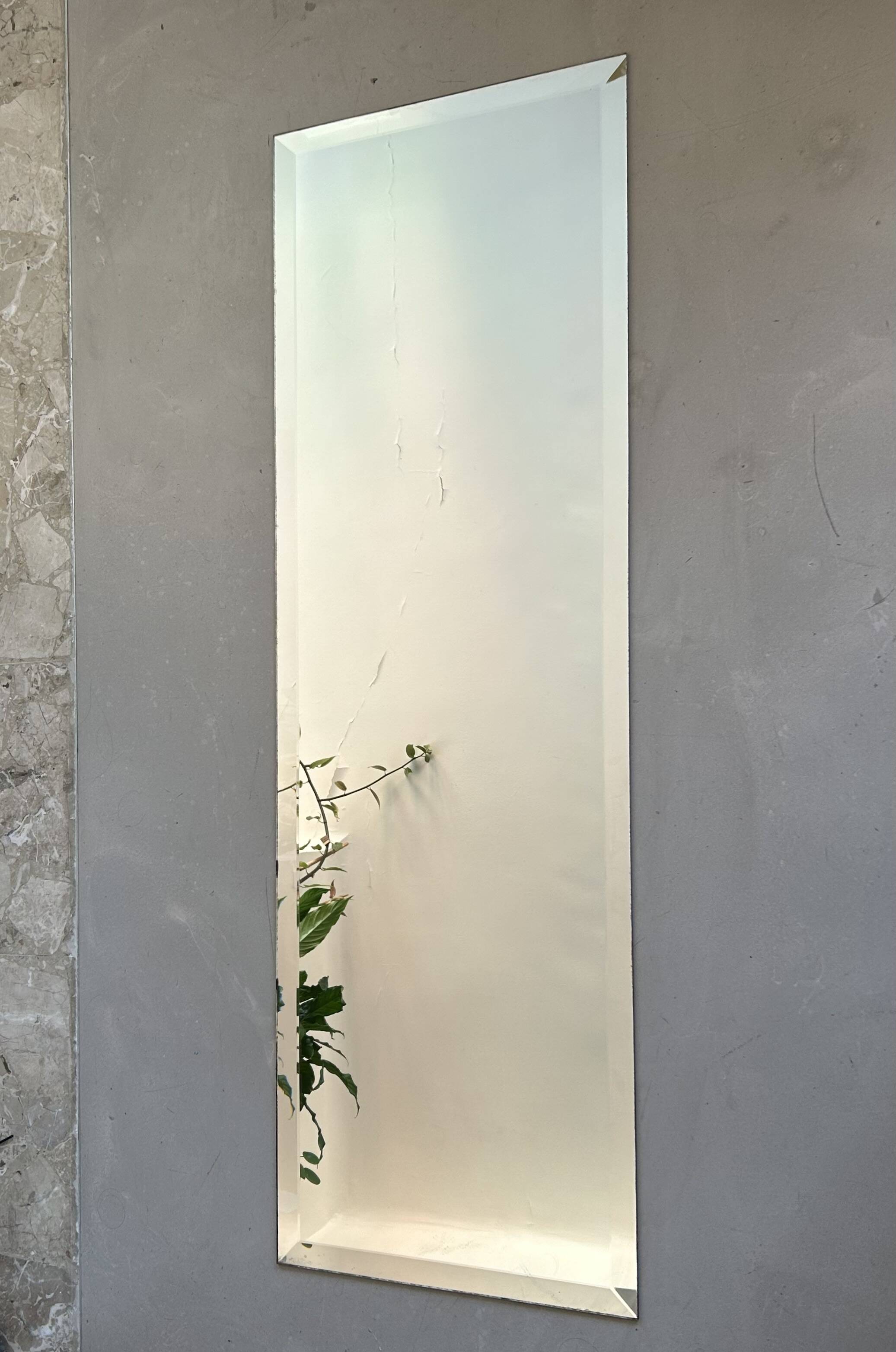 Bevelled full-length mirror, antique 45x141cm