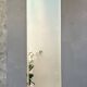Bevelled full-length mirror, antique 45x141cm