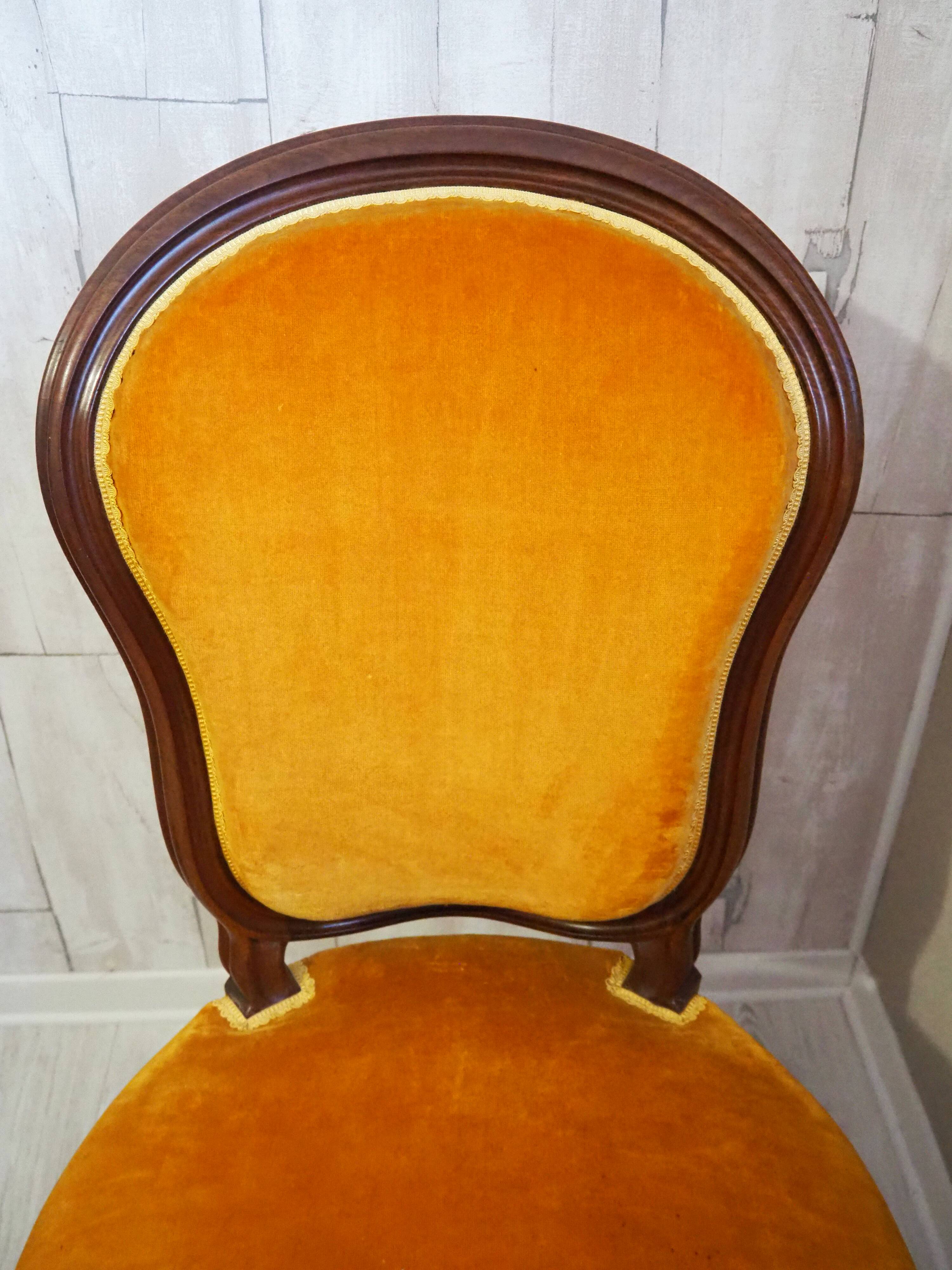 Antique Louis Philippe style padded chair - Wooden structure and horsehair padding - Color m