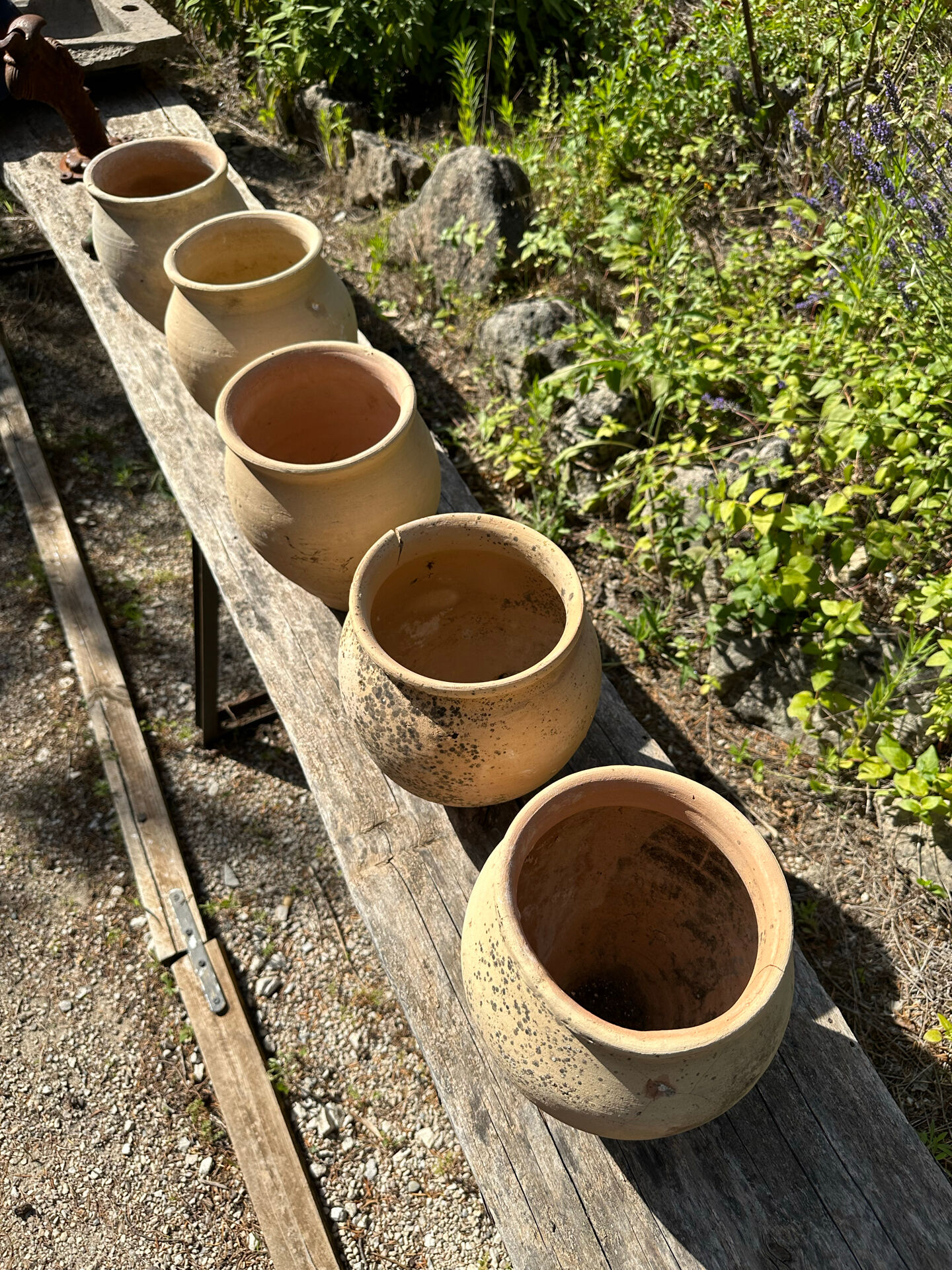 Terracotta paloma pot