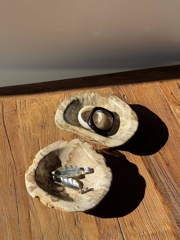 Coupe en bois pétrifié ronde beige D21- 3780