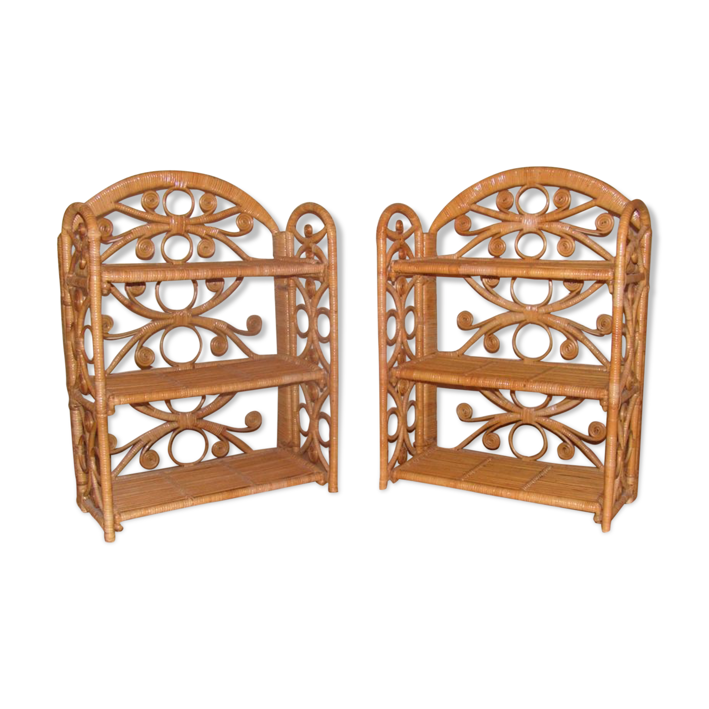 Peacock shelving lot