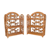 Peacock shelving lot