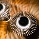 Vintage Wall Lights • Philippe Rogier • Oxar • Luminox • Space Age • 1972