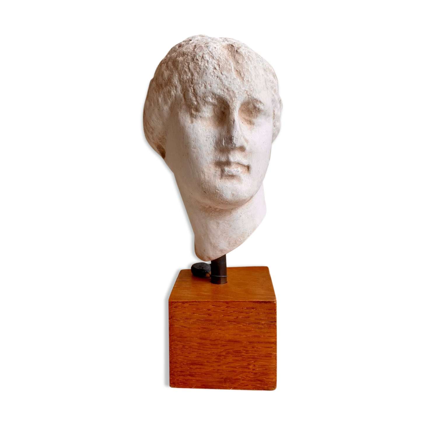 Artemis Bust