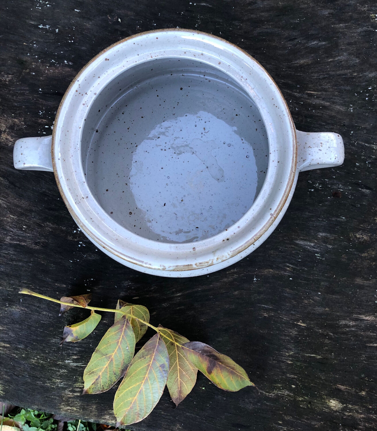 Glazed stoneware tureen