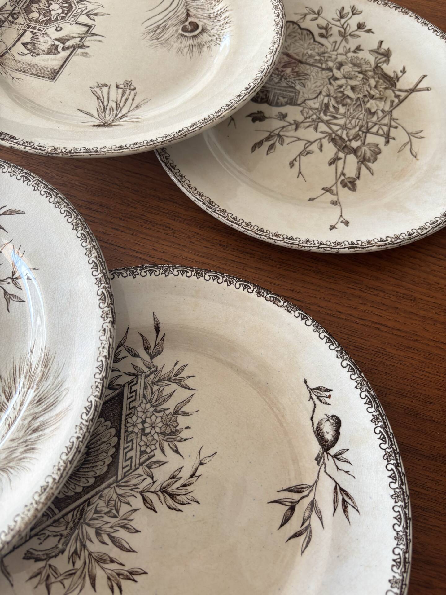 6 dessert plates iron earth sepia Grand Dépôt Earthenware
