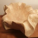 Teak root