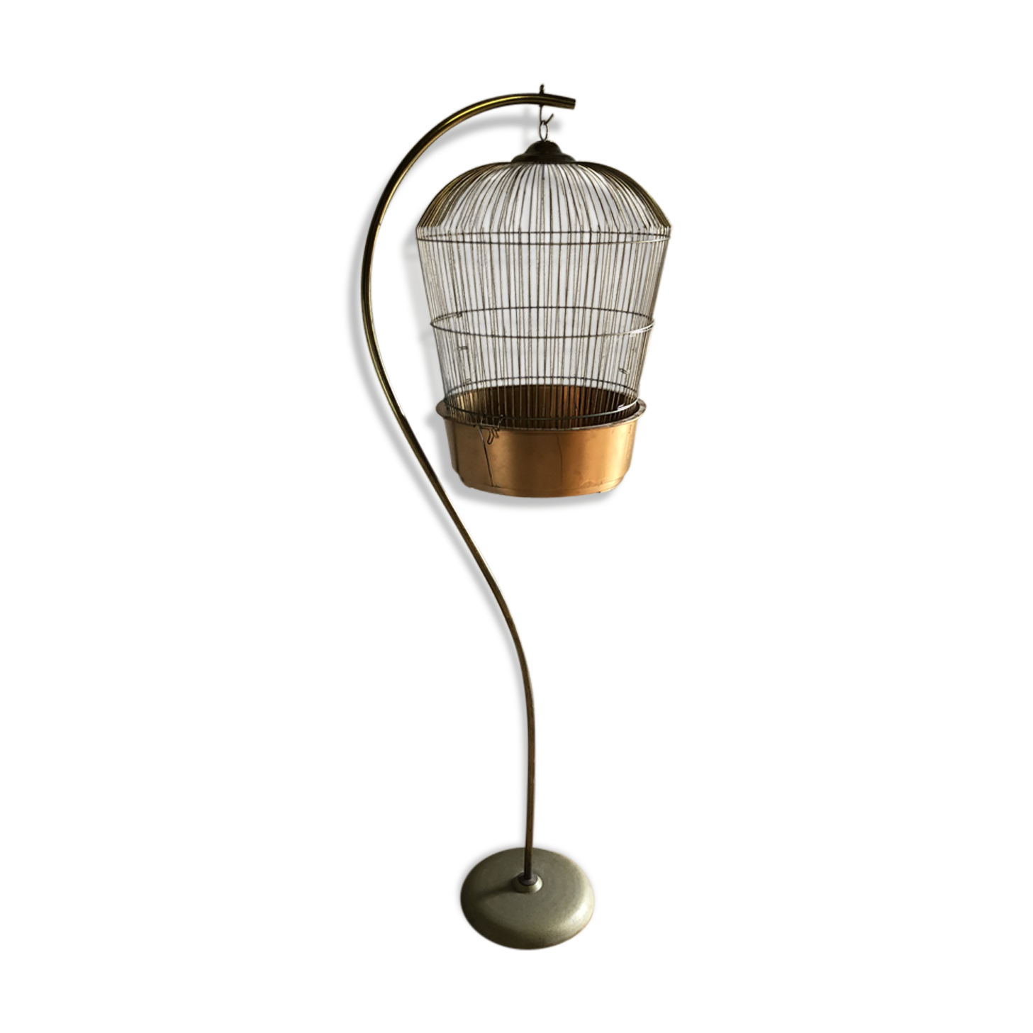 Cage suspended for decoration, plant vintage