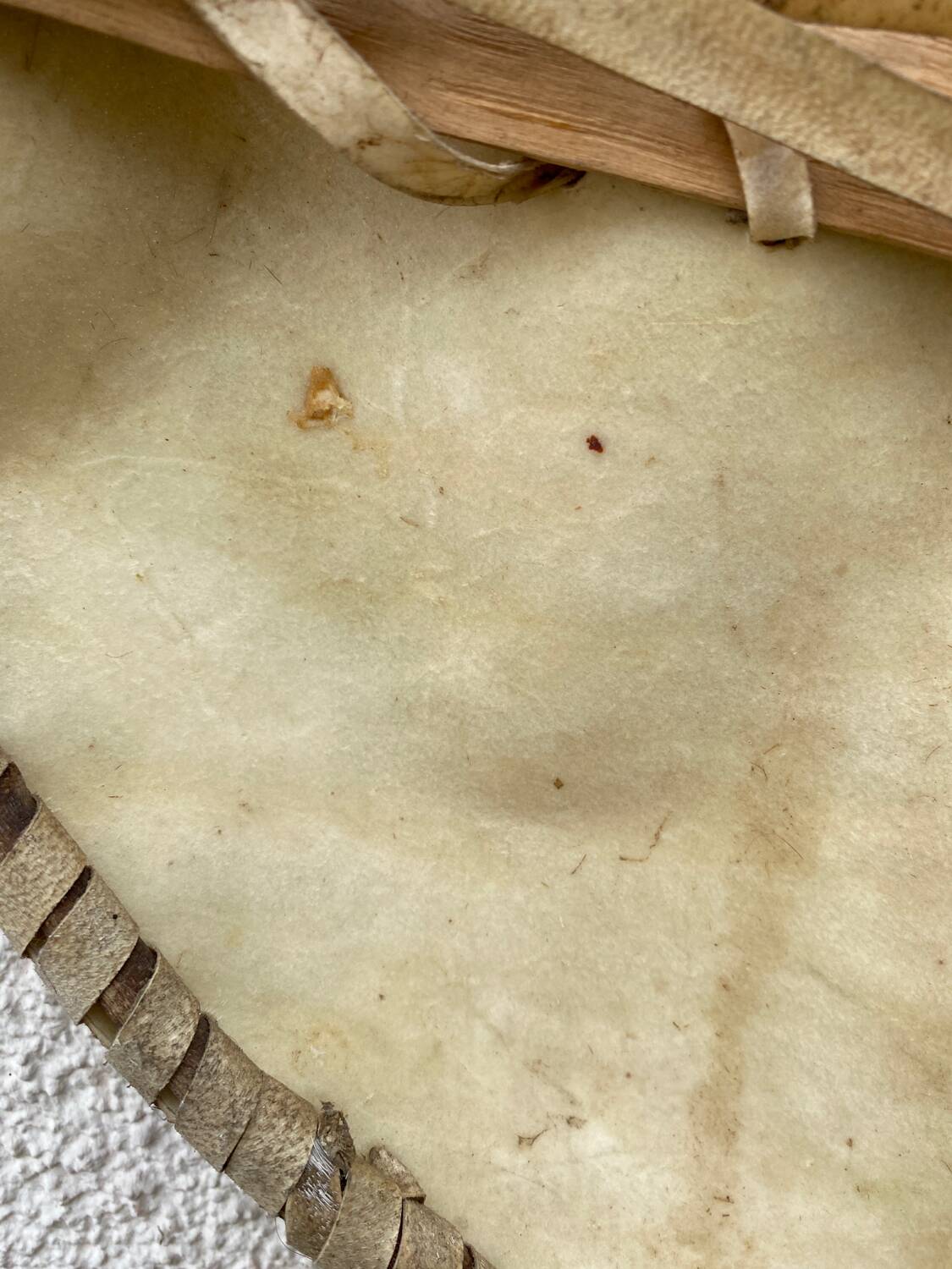 Authentic ethnic shield