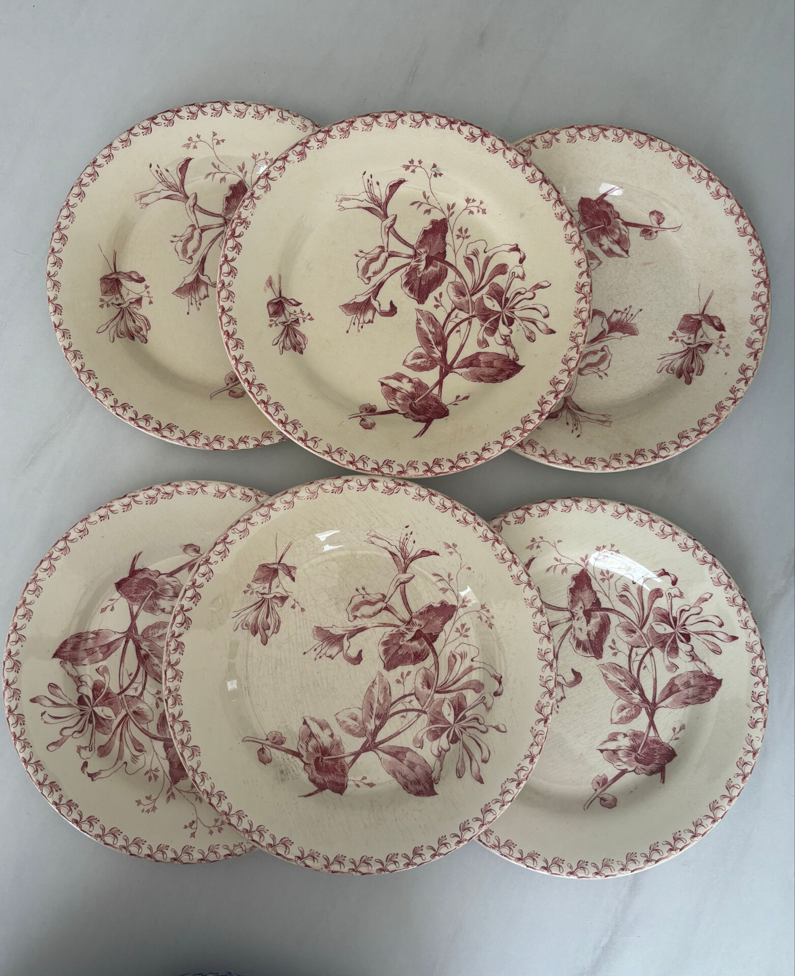 Set of six plates, ironstone, red, Gien, honeysuckle, earthenware.