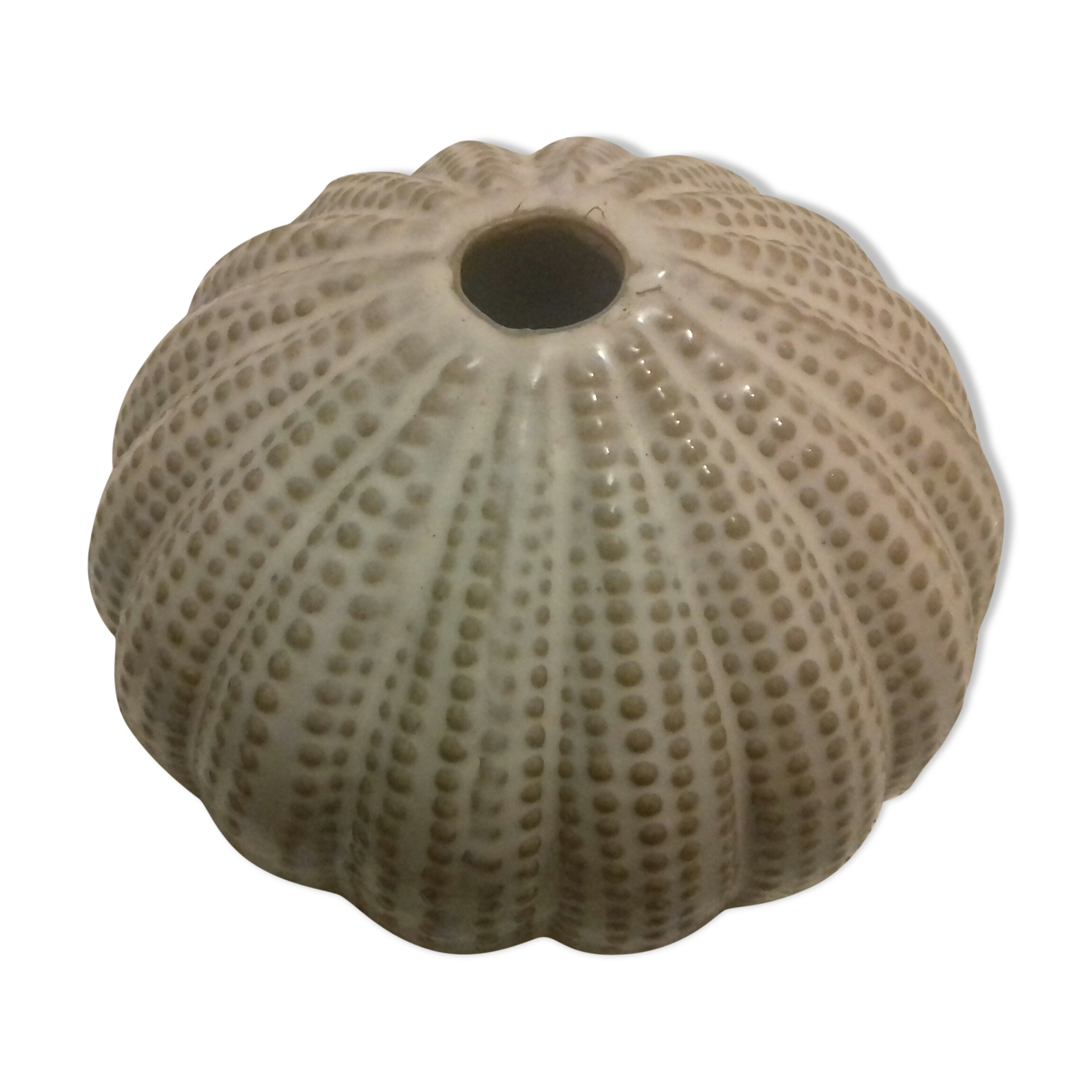 Ceramic vase Urchin