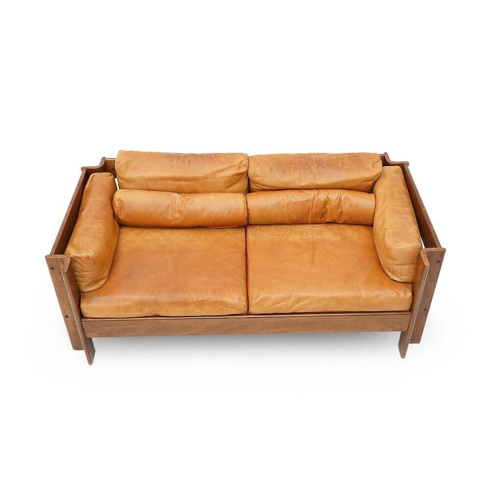 Zelda 2-seater sofa by Sergio Asti for Poltronova, 1960s