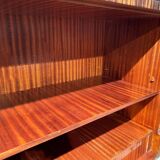 Tall Art Deco Cabinet in Macassar Veneer and Mahogany, France, 1930s