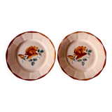 Lot de 2 assiettes anciennes en faïence Sarreguemines à décor floral