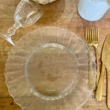 Pair of Dishes Plates Duralex model Marguerite vintage