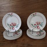 6 assiettes plates ancienne modèle Pec de la Société amandinoise Saint-Amand