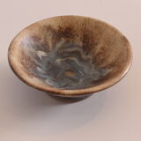 Dish 1970s