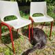 Duo of vintage and designer children's chairs. Kindergarten. 1980.