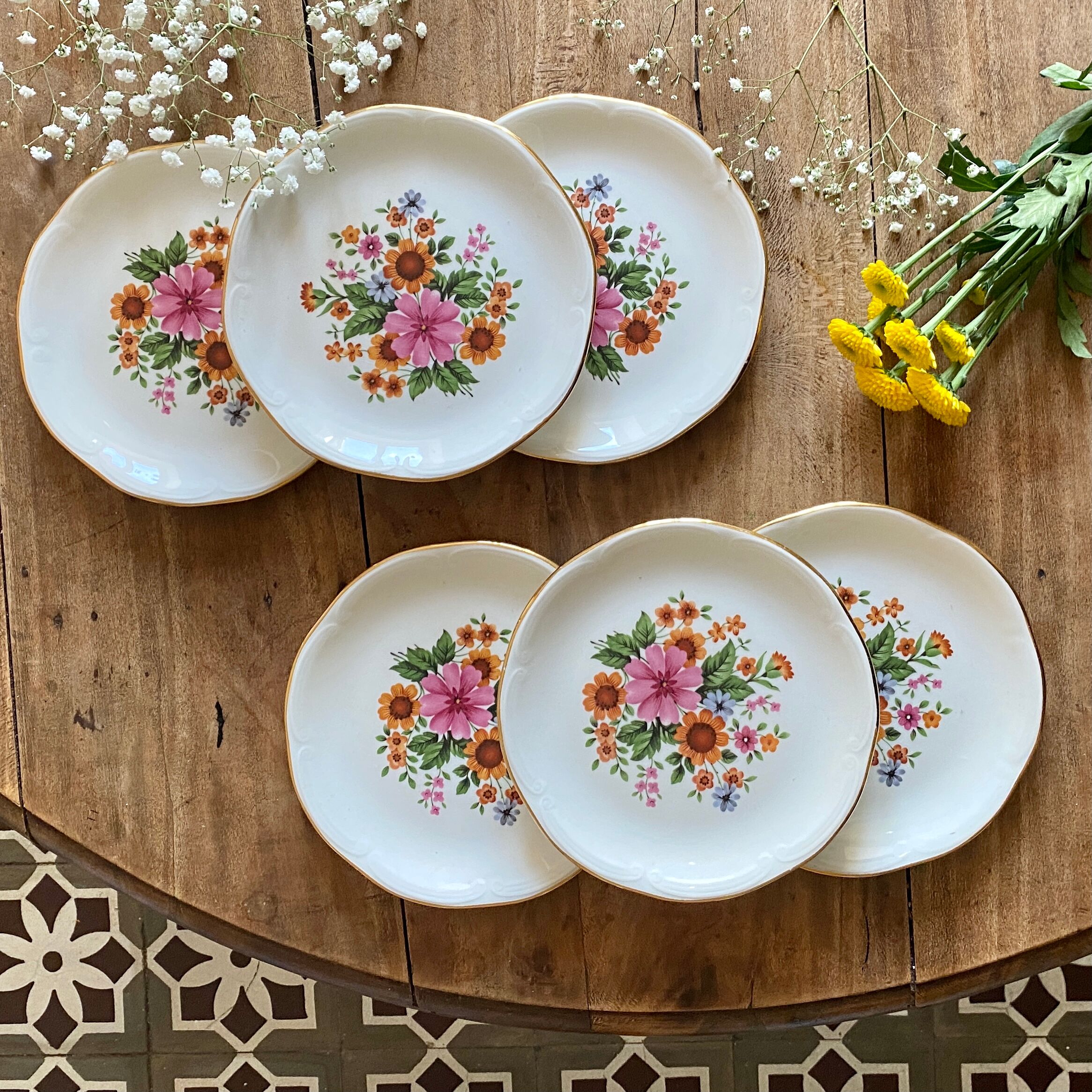 Set of 6 vintage plates from the gien manufacture