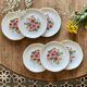 Set of 6 vintage plates from the gien manufacture