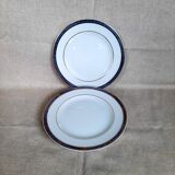 Bernardaud Limoges Antinea service plates