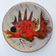 Ceramics plates by Monique Brunner 60s/70s Vallauris