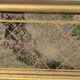 Old parecloses mirror, engraved decoration