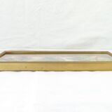 Entomology old taxidermy butterfly frame