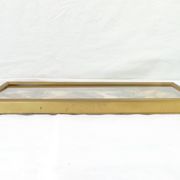 Entomology old taxidermy butterfly frame