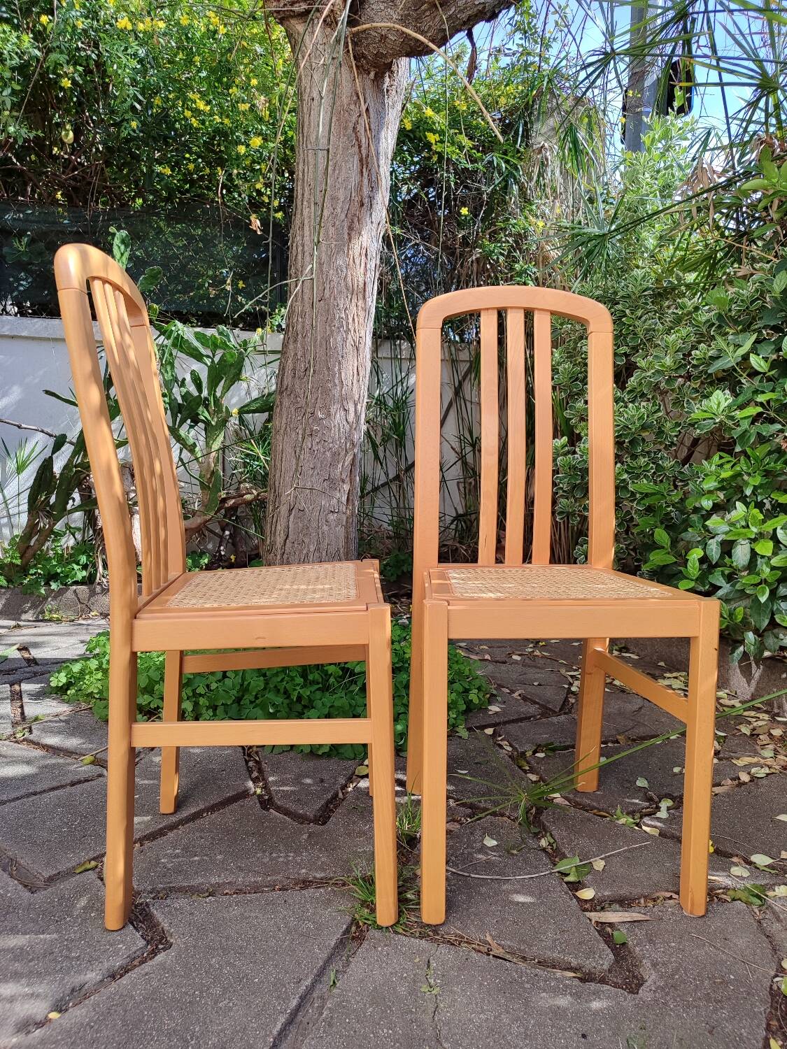 Chaises en bois et cannage