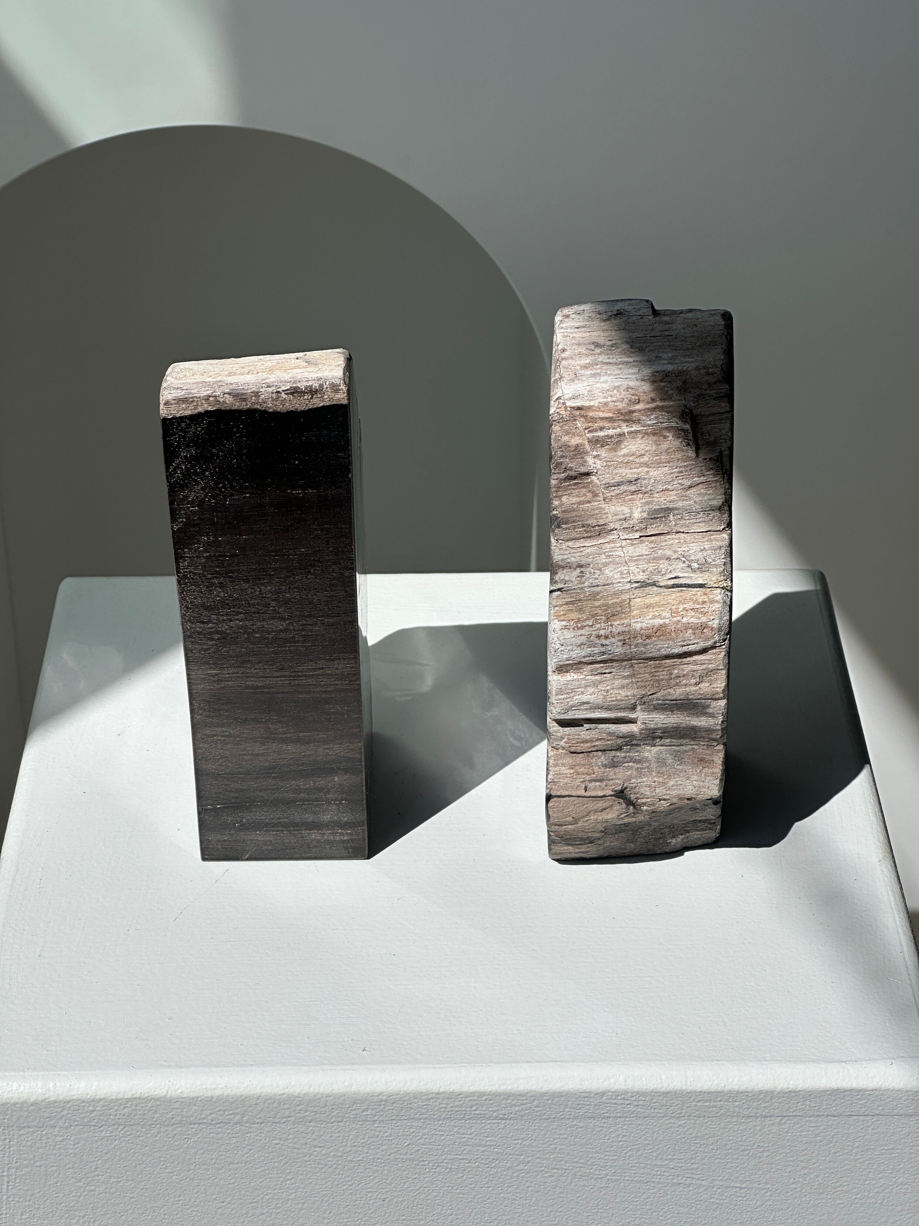 Black petrified wood bookend H17 L17 P6