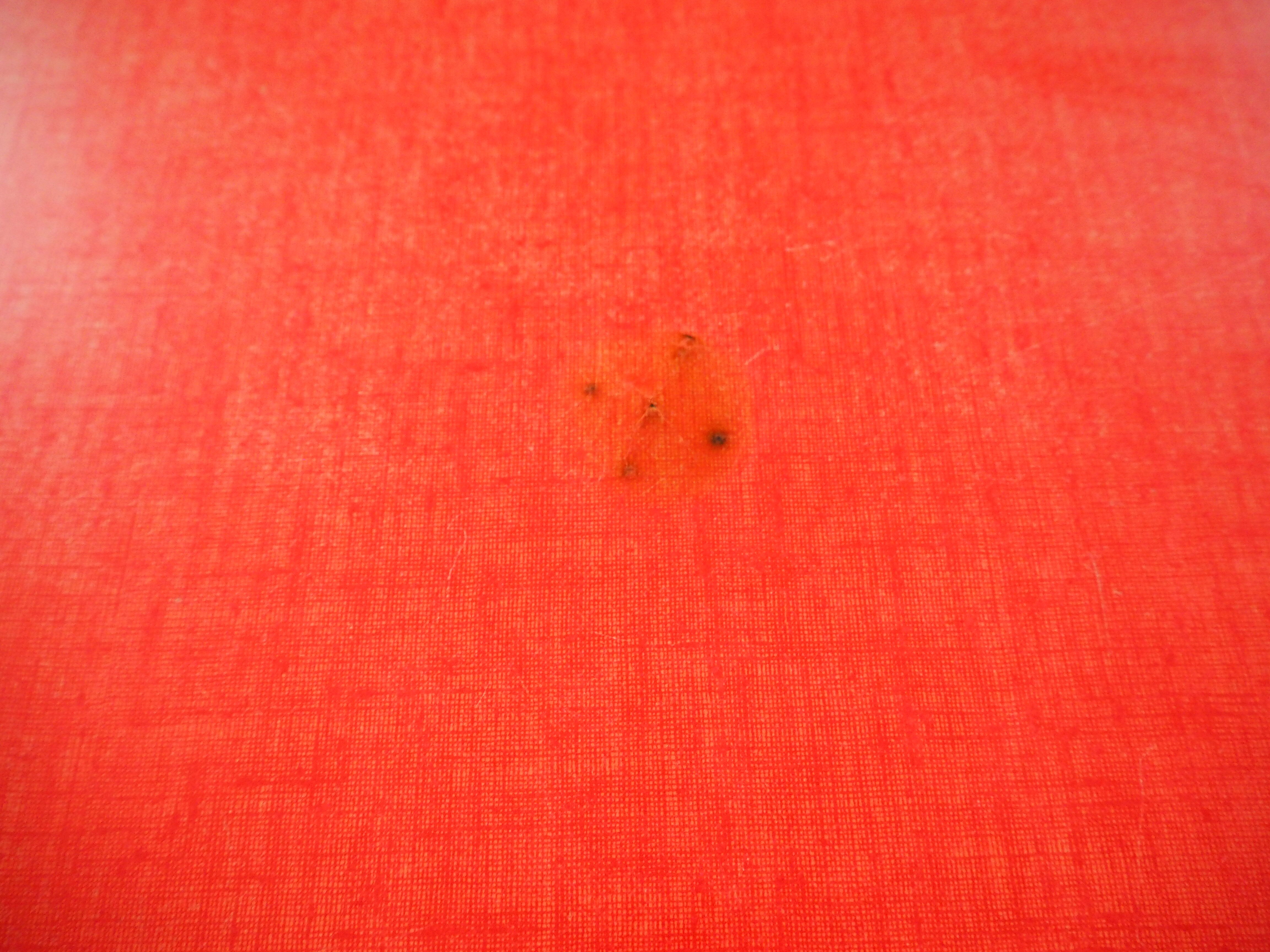 TABLE with two Italian EXTENSIONS and its 6 vintage CHAIRS of the 1970s in red color