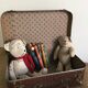 Small suitcase cardboard way crocodile