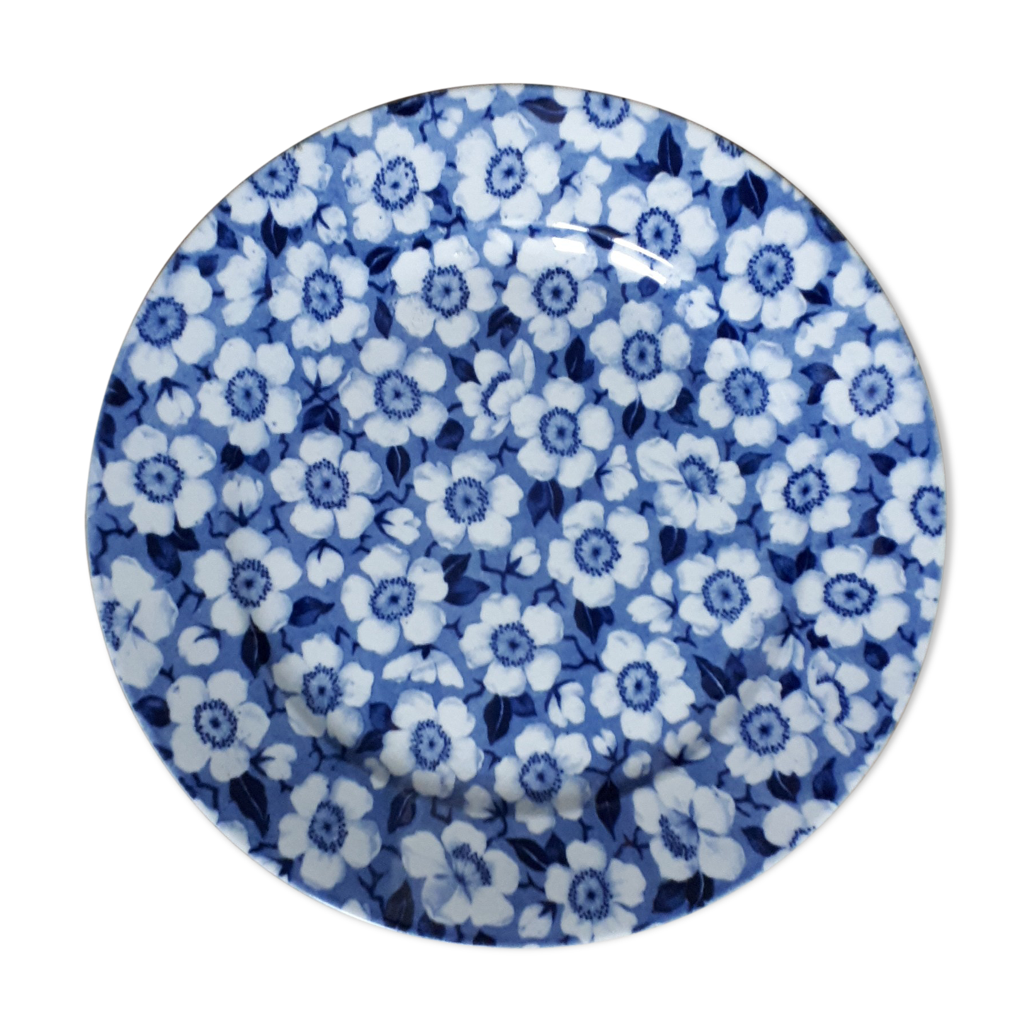 Blossom Maestrich Flat Plate