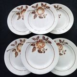 6 flat plates from Saint Amand earthenware Model 4004