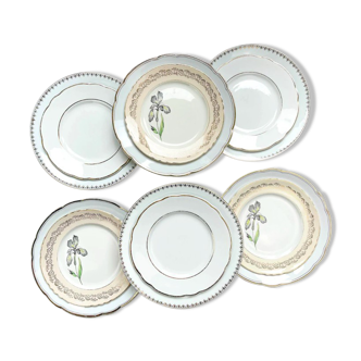 Porcelain dinner service for 6 people