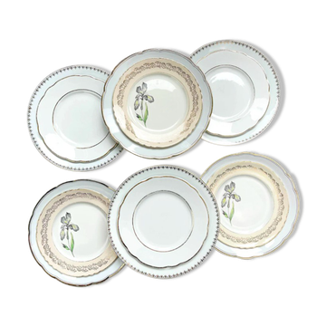 Porcelain dinner service for 6 people