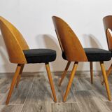 Dining Chairs by Antonin Suman, 1960s, Set of 4