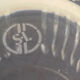 Saint Louis Crystal Glass Goblet Signed