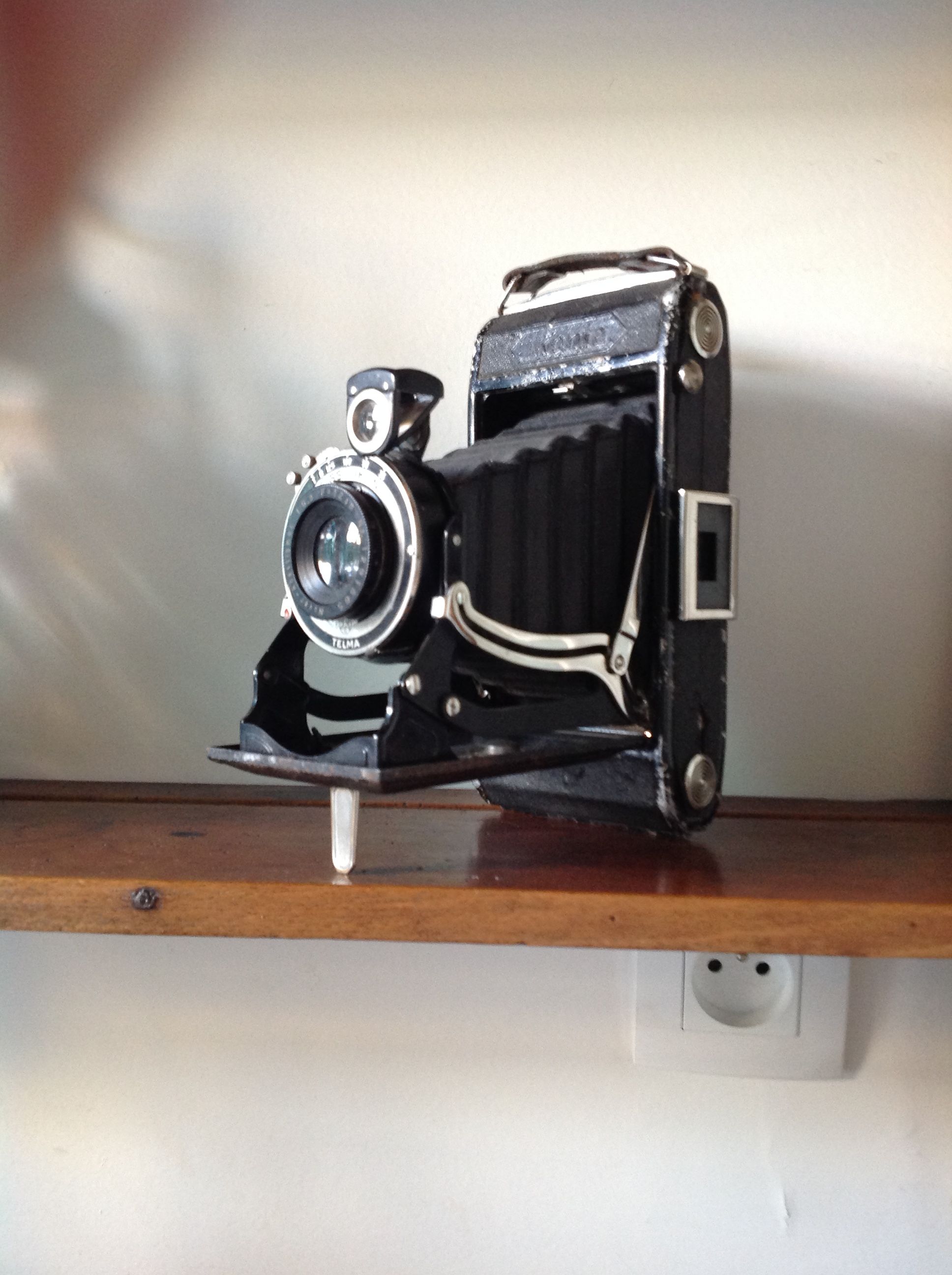 Zeiss Ikon bellows camera with its saddlebag