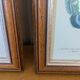 Lithographies de papillons