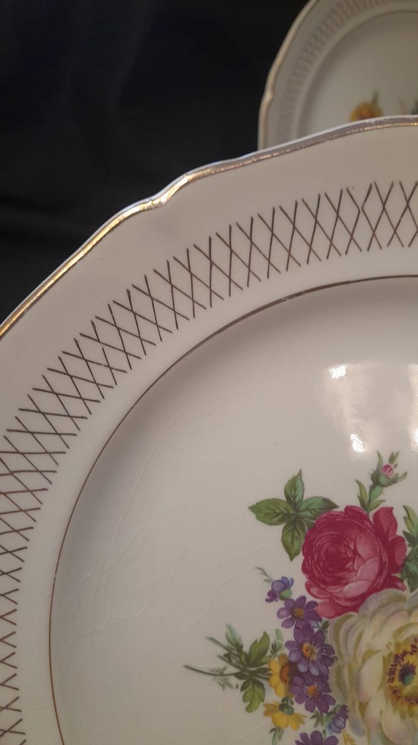 Set of 11 Ceranor St Amand Semi Vitrified Sapho plates