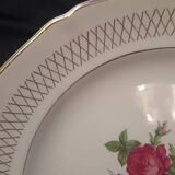 Set of 11 Ceranor St Amand Semi Vitrified Sapho plates