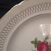 Set of 11 Ceranor St Amand Semi Vitrified Sapho plates